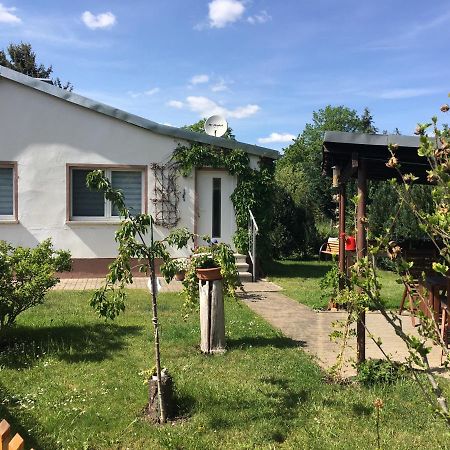 Ferienhaus An Der Selke Meisdorf Luaran gambar