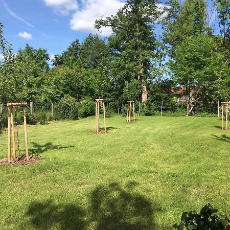 Ferienhaus An Der Selke Meisdorf Luaran gambar