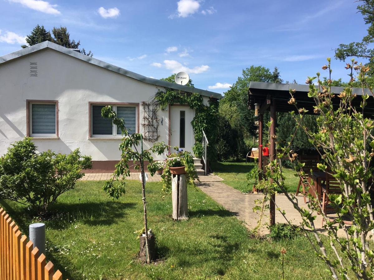 Ferienhaus An Der Selke Meisdorf Luaran gambar